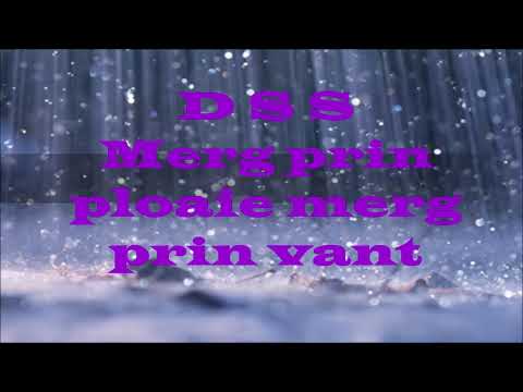 Merg prin ploaie, merg prin vant si te port mereu in gand