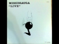 Roy Sluiter And The Train Gang Mississauga Mishap Vinyl 1980