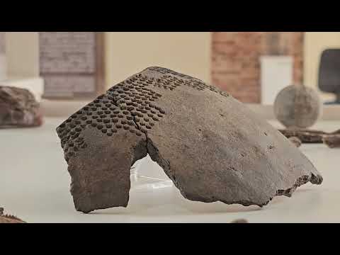 Museos de Río Negro participan en jornada nacional para fortalecer su rol educativo y comunitario