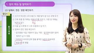 [동아출판] 백점 시리즈 초등 6학년 백점 과학 - 4. 식물의 구조와 기능 _잎이 하는 일 / 잎의 증산 작용