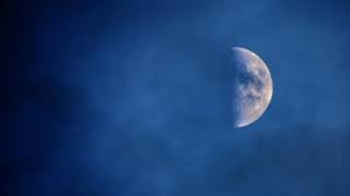 PUBLIC NOTICE : Dangerous Man at Work