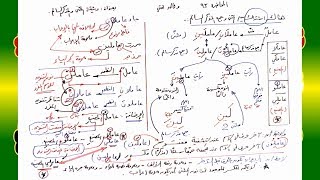 صورة 93 √ وثيقة المثنى والمذكر السالم