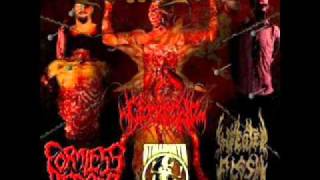 Infected Flesh - Engargloying The Dethroned