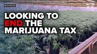 No more marijuana tax Michigan senators repeal tax after sales drop