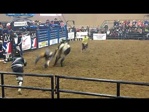 Cody Ford 89 pts on 400 VJV Slash (WV) Ponoka NYE PBR Canada 2011