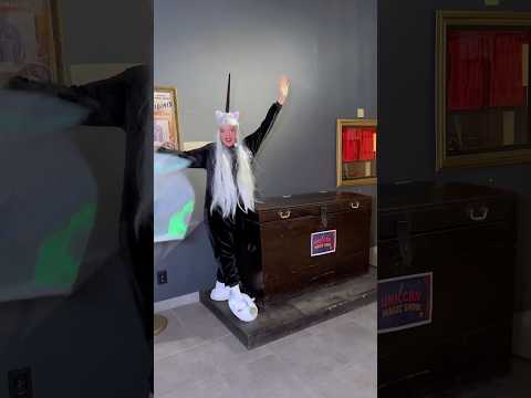 Unicorn Magic – You Won’t See Anything More Enchanting ✨🦄💫