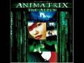Peace Orchestra- Who Am I? (Animatrix Edit ...