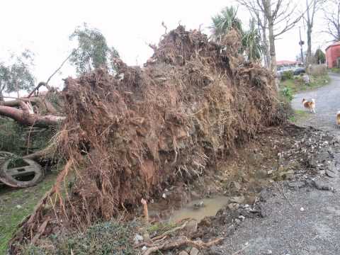 Vilasantar en el invierno