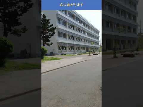 正門から北校舎研究棟（Ｎ）まで #shorts