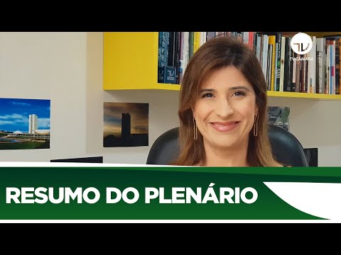 Veja o que foi votado no Plenário desta semana - 17/07/20