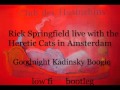 Rick Springfield jams live with the Heretic Cats in Amsterdam,,Goodnight Kadinsky Boogie