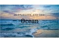 Alok, Zeeba and IRO - Ocean Radio Edit (Letra e tradução) Alok, Zeeba and IRO - Ocean Radio Edit (Letra e tradução)