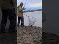 Video Thumbnail for River fishing  #carp #fishing #like #shorts