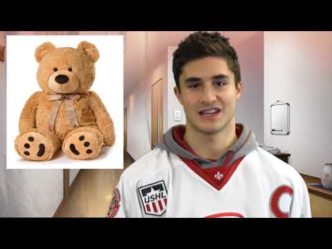 Teddy Bear or Grizzly Bear