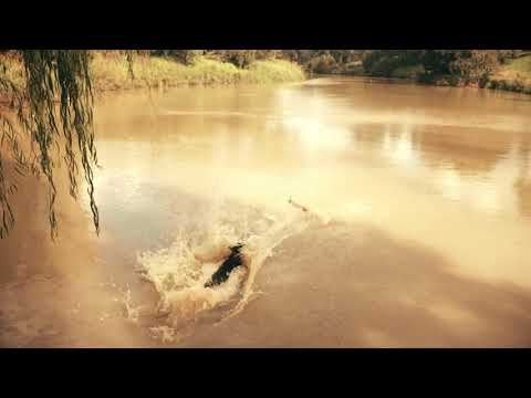 The World Has A Gentle Soul - King Curly (with Melanie Horsnell)