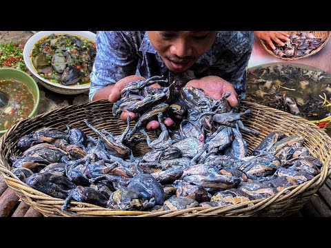1000 BIG SIZE Bullfrogs  / Big Bullfrog Fry Recipe Cooking At Home