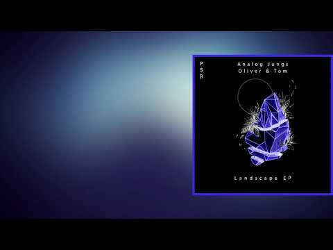 Analog Jungs, Oliver & Tom - Landscape (RIGOONI Remix) [Plaisirs Sonores]