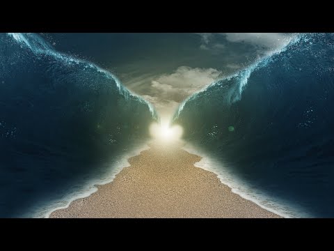 Os Gafanhotos / As Trevas / Anúncio da Morte dos Primogénitos / Páscoa / A Festa dos Ázimos.