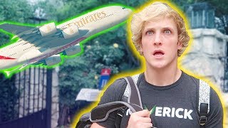 I CAME HOME TO THIS...