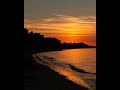 Dr  John - Tangerine
