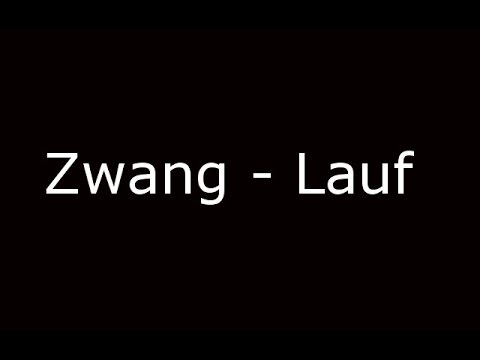 ZWANG - Lauf