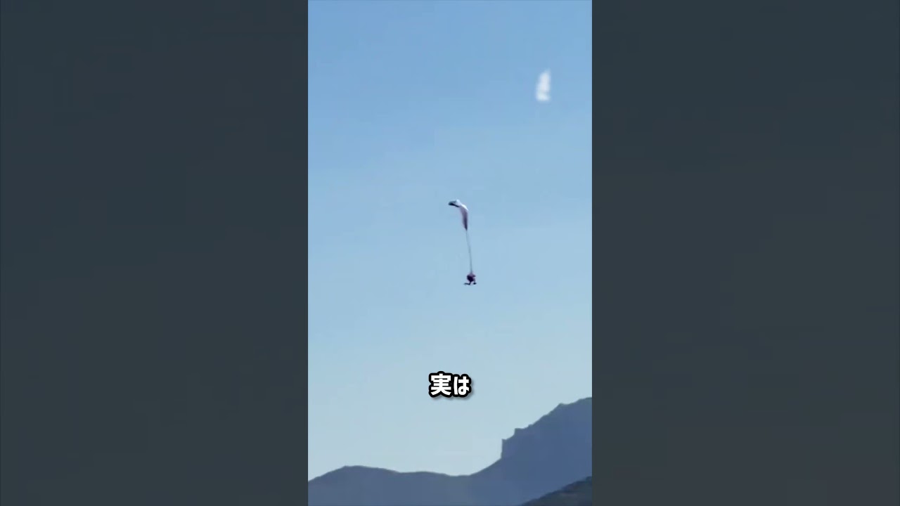 スカイダイビングでパラシュートが開かなかったら