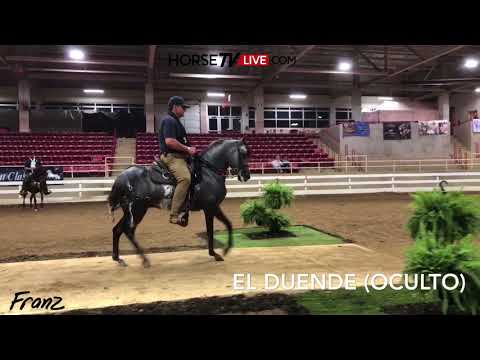 NOCHE DE ENTRENAMIENTOS ASHEVILLE ALIVE 2018