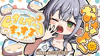 ノエルちゃん. - 【朝活雑談】引っ越し間近!!おはまっするさんで~🌞✨【白銀ノエル/ホロライブ】