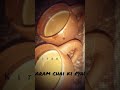 Ek Garam Chai Ki Pyali Ho