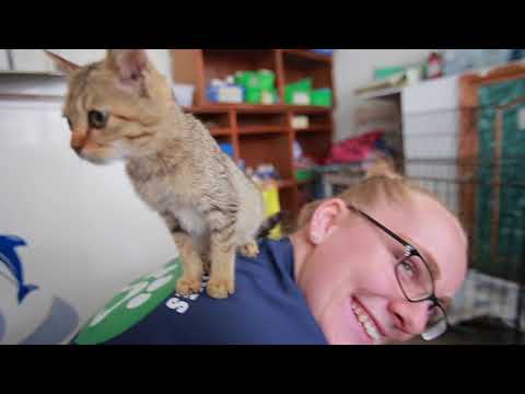 Volunteering Abroad: Nepal