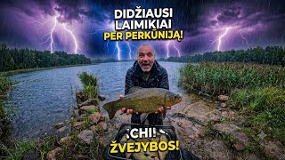 Po audros lynai tiesiog išprotėjo.