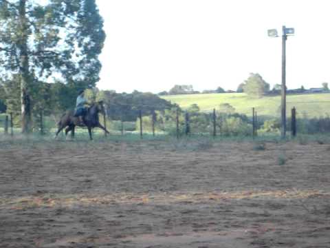 Quebra Vento de Santa Angélica