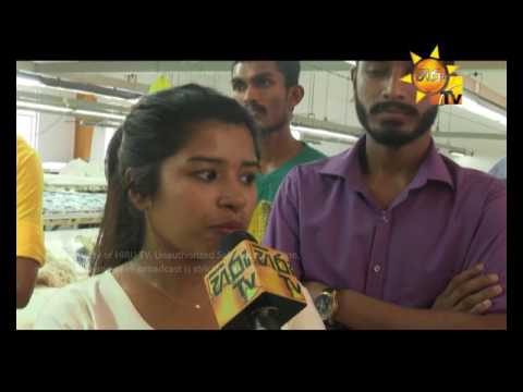 Hiru TV