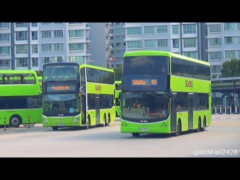Leap Day Bus Spotting at Punggol Temporary Bus Interchange - 29/02/2020