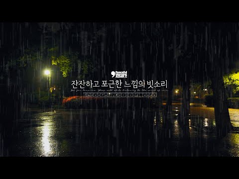 White noise of a quiet night, a park where you can hear the soft and gentle sound of rain