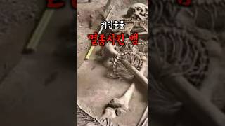 Download lagu 고대 지구를 지배한 거인인데… #미스터리 #거인 mp3