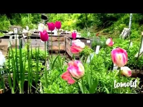 PICK UP THE STEAM official video commercial