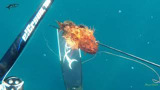 Spearfishing Croatia - el Greco Speargun Spearfishing Croatia - el Greco Speargun