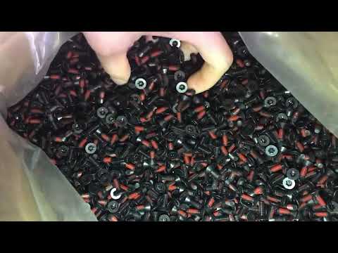 Anti theft Torx Security Screws with red nylon patch