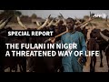 PART III - The Fulani in Niger: climate change threatens way of life of nomadic herders | AFP
