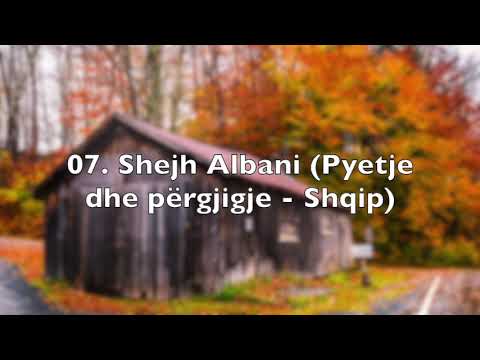 07. Shejh Albani (Pyetje dhe përgjigje - Shqip)