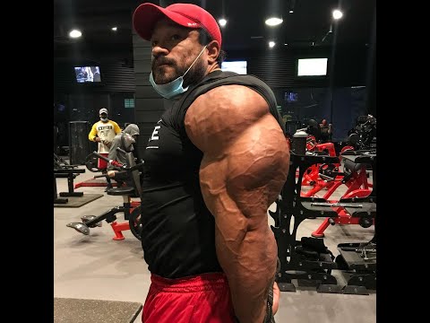ROELLY WINKLAAR - DONT UNDERESTIMATE ME - MR OLYMPIA 2020 MOTIVATION !