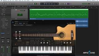 Video thumbnail for Ample Bass Acoustic Demo -  Jazz G by AmpleSound Media