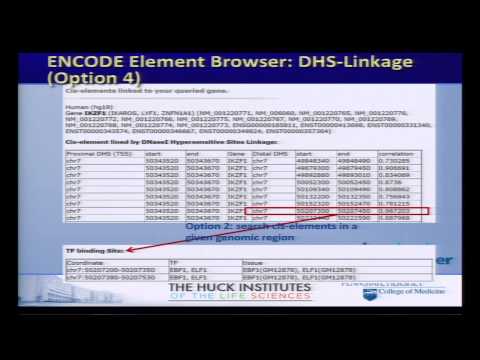 ENCODE Element Browser and the 3D Genome Browser - Yanli Wang