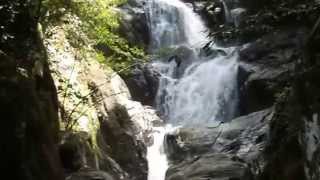 preview picture of video 'Duwili ella(දුවිලි ඇල්ල) waterfall in Neluwa,Srl Lanka'
