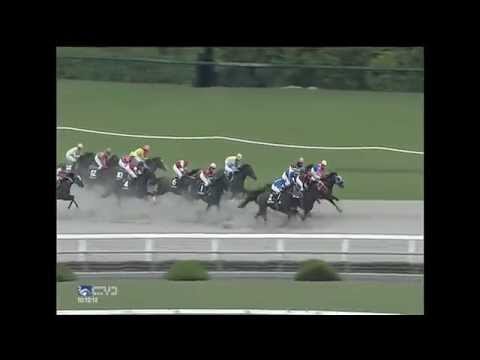 2015.05.03 Tango Stakes (JPN) - White Fugue