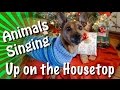 Animals of YouTube sing Up On The Housetop