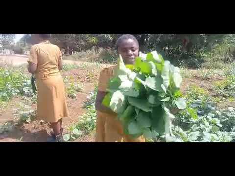 Train Youth & Build Wandusoa Eco-Learning Centre