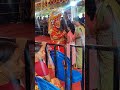 Allu Got Blessings From Muthappan Keralaritual Perambur Chennai Chendamelam God Shortsviral