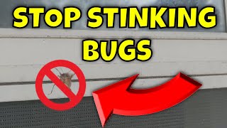 How to Get Rid of STINK BUGS - STOP THEM before they get into YOUR HOME!